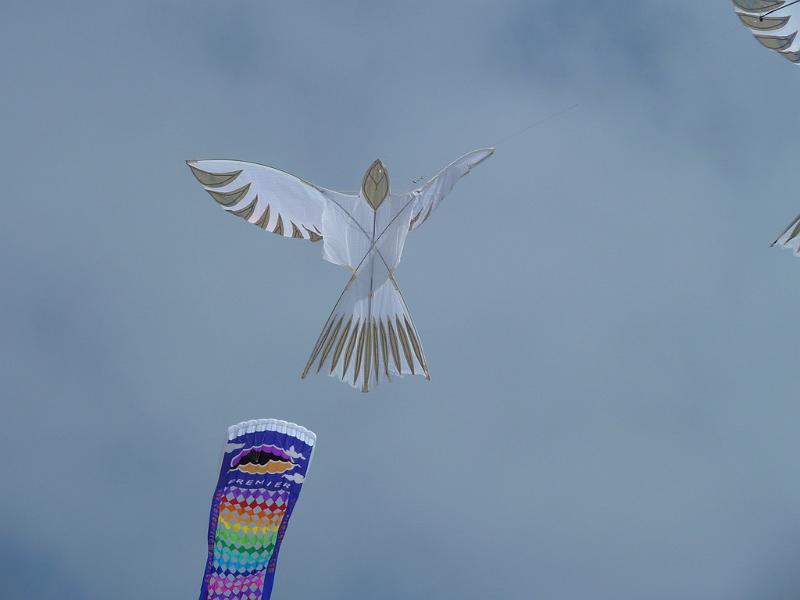 Fanø 2010 093.JPG